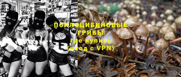 не бодяженный Алексин