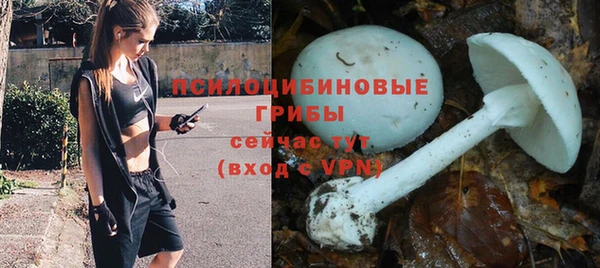 амфетамин Алексеевка