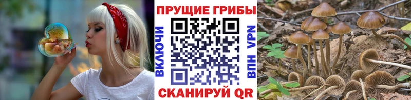 Псилоцибиновые грибы MAGIC MUSHROOMS как найти закладки Гусь-Хрустальный